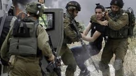 الاحتلال يعتقل 22 مواطنا فلسطينيا من عدة مناطق بالضفة الغربية