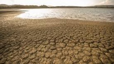 أزمة المياه أصبحت مقلقة ومزعجة لأغلب المواطنين والفلاحين