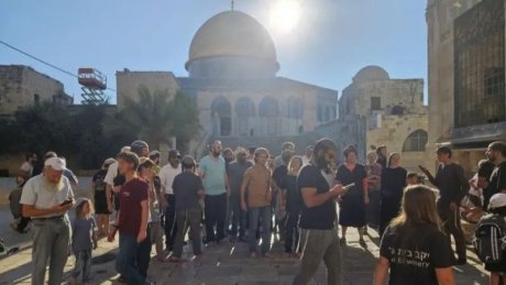 مئات المستوطنين يقتحمون المسجد الأقصى ويُدنّسون باحاته
