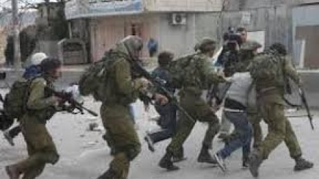 الاحتلال يعتقل أربعة مواطنين فلسطينيين ومستعمرون يسرقون أغناما من الخليل