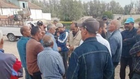 سليانة : عمّال وأعوان واطارات المركب الفلاحي الرمليّة يحتجون على تأخر صرف مستحقاتهم المالية