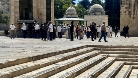 مستوطنون يقتحمون المسجد الأقصى المبارك