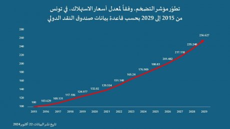 آرام بلحاج : من الممكن العودة الى التفاوض مع صندوق النقد الدولي على قاعدة برنامج تمويل جديد