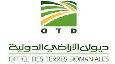 إعفاء الرئيس المدير العام لديوان الأراضي الدّولية من مهامه