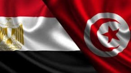 زيارة مرتقبة لوزير الخارجية المصري إلى تونس