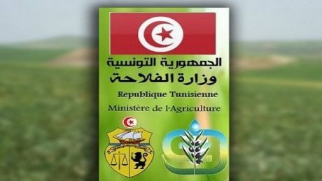 وزارة الفلاحة تعلن عن تسجيل بعض حالات مرض الجلد العقدي المعدي عند الأبقار