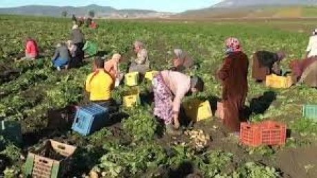 ندوة تكوينية و عيادة طبية مجانية للعاملات الفلاحيات بسجنان