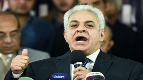 نواب مصريون عن سقوط الاسد: طعنة غائرة في قلب العروبة وسوريا مهددة بالفوضى والتدخل الصهيوني