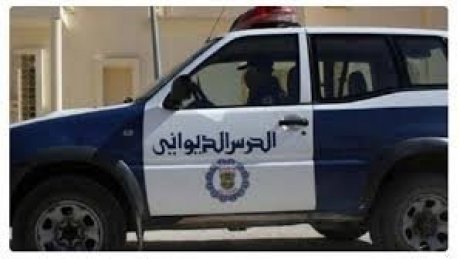 منذ بداية الشهر الجاري : مصالح الحرس الديواني تحجز كميات هامة من البضائع المهربة بقيمة جملية فاقت 25.6 مليون دينار