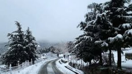 طقس اليوم الأربعاء : غائم جزئيا في قطاع غزة و أمطار غزيرة في تونس