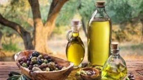 غابات زياتين تدخل طور الاستغلال سنة 2025 : الفلاحون يتذمرون من نقص اليد العاملة وغلائها