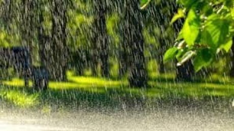 طقس اليوم السبت : أمطار متفرقة مؤقتا رعدية في غزة و تونس