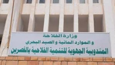 القصرين : مندوبية الفلاحة تلزم اعوان الغابات باجراءات مخالفة لمجلة الشغل