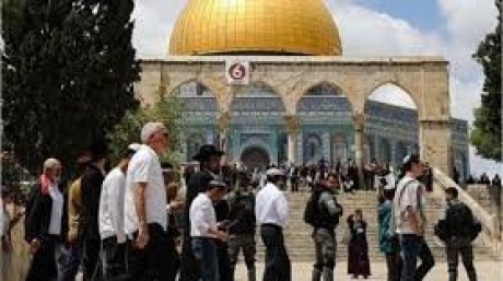 140 مستعمرا يقتحمون المسجد الأقصى