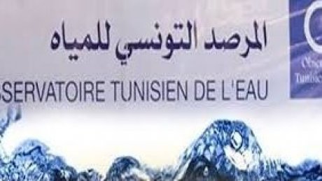 خلال شهر ديسمبر 2024 : 23 تبليغ بتحركات احتجاجية للمطالبة بالحق في الماء