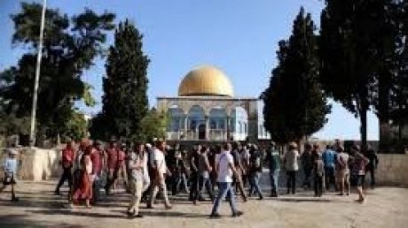 233 مستعمرا يقتحمون المسجد الأقصى