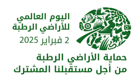 " من بينها 200 منطقة تونسية 12 منها مصنفة ضمن إتفاقية " رامسار " : كيف نحافظ على التوازنات البيئية في "المناطق الرطبة ؟