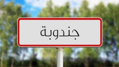 كلفة الدراسة فيها تمثل أقل من أمريكا وأورويا : جامعات يابانية تفتح ابوابها أمام الطلبة التونسيين في هذه الشعب