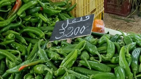 تواصل إرتفاع أسعار الخضر و الغلال في اليوم الرابع من شهر رمضان المعظم