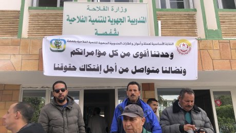 قفصة : أعوان النقابات الأساسية للفلاحة ينظمون وقفة احتجاجية تنديدًا بتصريحات نائب ويطالبون بحقوقهم المهنية