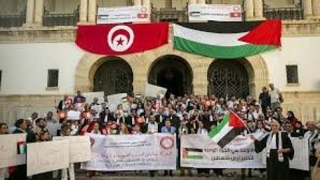 الهيئة الوطنية للمحامين تنظم مسيرة وطنية في تونس العاصمة تنديدًا بـ "جرائم الاحتلال" ودعمًا لفلسطين