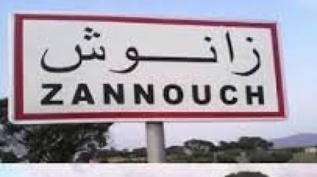 زانوش : فلاحون يطلبون الدعم أمام المعتمدية بعد أضرار الأمطار