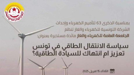 جامعة الكهرباء والغاز تطرح سياسة الدولة في الانتقال الطاقي والخيارات المطروحة