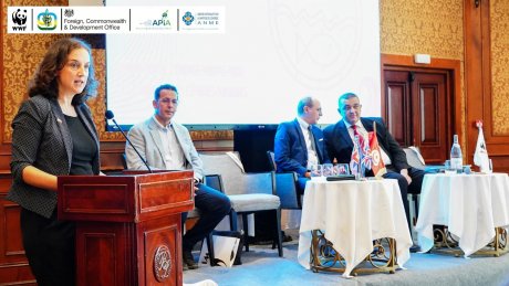 مشروع تجريبي للصندوق العالمي للطبيعة : إدماج المحركات الكهربائية في الصيد الساحلي بخليج قابس