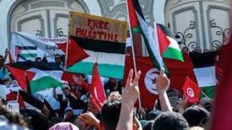 عريضة لمؤرخين وباحثين في التاريخ لمساندة الكفاح الوطني الفلسطيني وإنهاء المجزرة الصهيونية بقطاع غزة