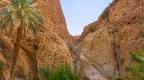 طقس اليوم الإثنين : شديد الحرارة في قطاع غزة و أمطار غزيرة في تونس