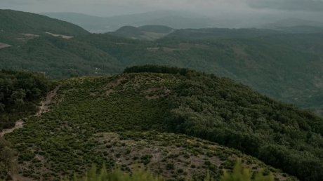 طقس اليوم الثلاثاء :  أجواء ممطرة  في تونس و حارة  في قطاع غزة