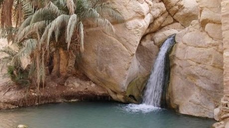 طقس اليوم الجمعة : غائم جزئيا في قطاع غزة و صاف في تونس