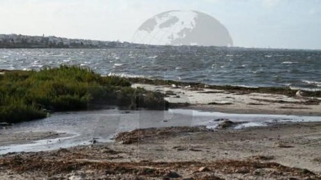 خليج المنستير : تلوّث متواصل .. وضع بيئي يستغيث .. وحلول  جاهزة تنتظر التمويل