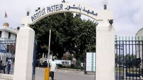 نقابة معهد باستور بتونس تندد برد الإدارة العامة وتؤكد تمسكها بالإضراب
