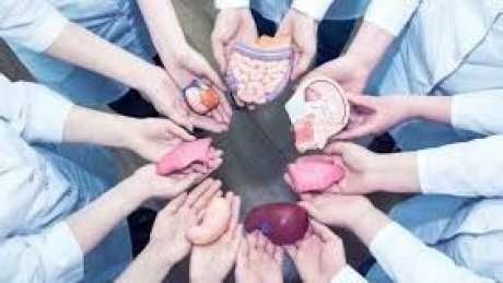 من القيروان الى بن عروس :  حياة جديدة لخمسة مرضى بفضل التبرع بالأعضاء