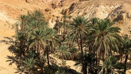 طقس اليوم الخميس : غائم جزئيا فصاف في قطاع غزة و أمطار متفرقة مؤقتا رعدية في تونس